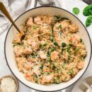 Delicious One Pot Chicken Orzo