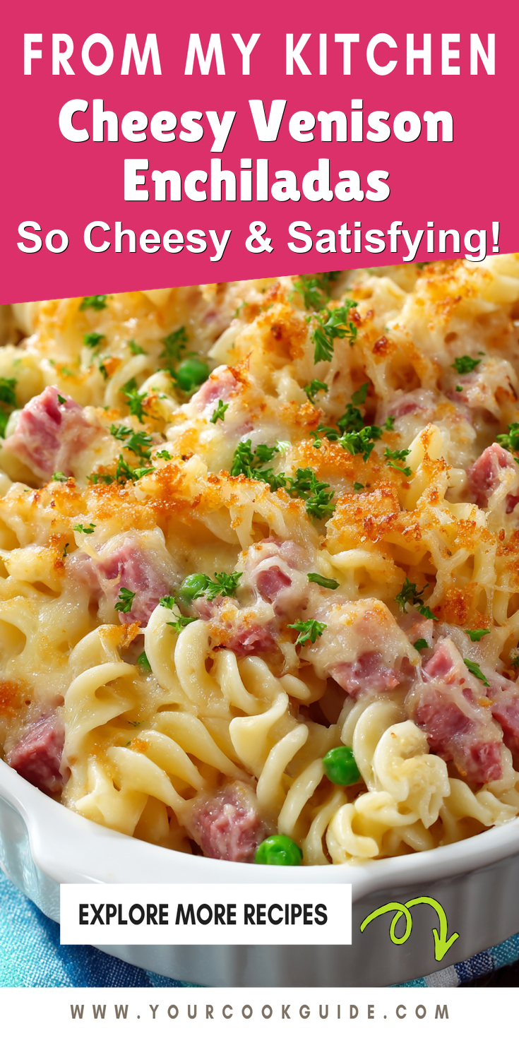 Cheesy Venison Enchiladas served warm with cozy spices